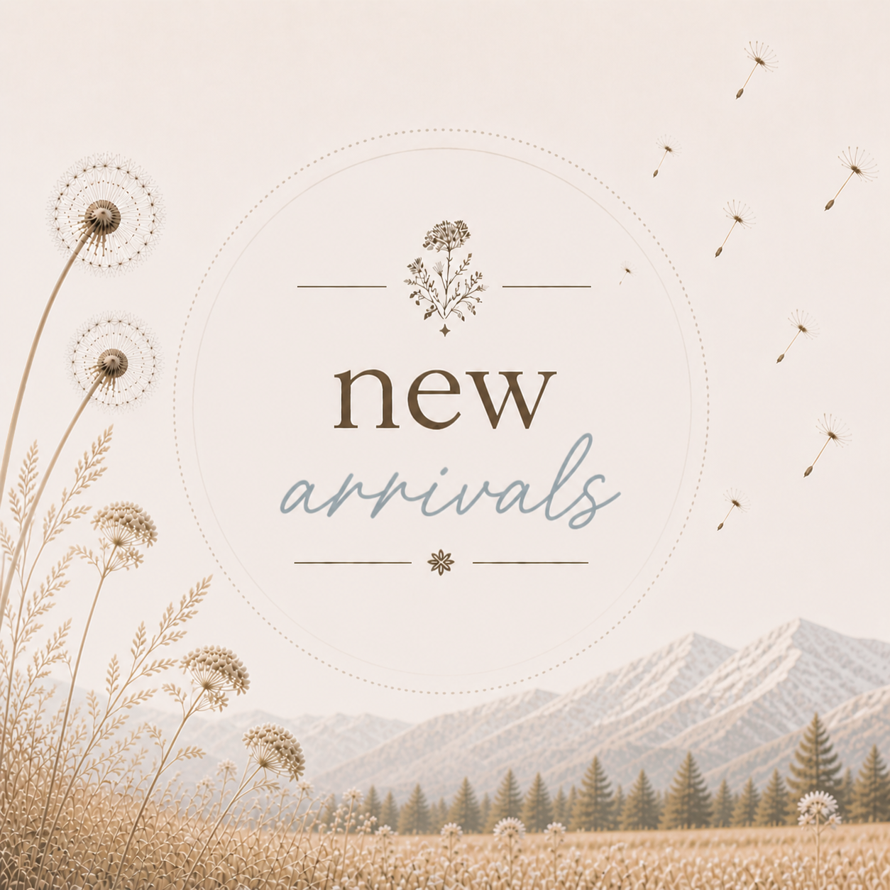 New Arrivals
